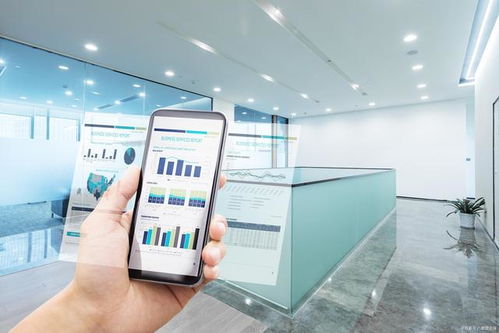 中小微企業(yè)信息化產(chǎn)品的五大特征解析 以信息咨詢服務(wù)為例