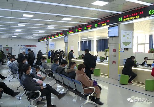 春節服務“不打烊” 蒙城政務服務延時錯時安排及咨詢指南