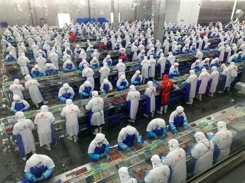 價格大跳水，潛江龍蝦如何應(yīng)對市場波動——記者一線調(diào)研產(chǎn)業(yè)鏈各環(huán)節(jié)的“穩(wěn)定器”